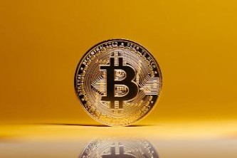 安币app安卓下载包细节展示，质感与实用性兼顾